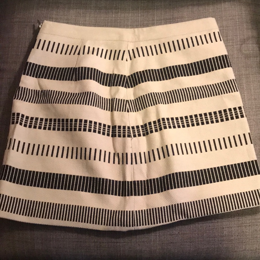 Zara Skirt
